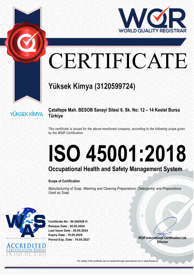 ISO 45001:2018  Occupational Health and Safety Management System